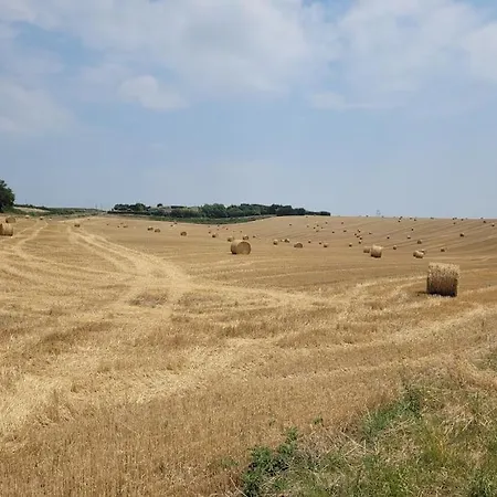 Authentiek Met Zwembad In Dordogne. *