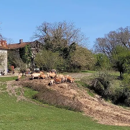 Authentiek Met Zwembad In Dordogne. * Gout-Rossignol
