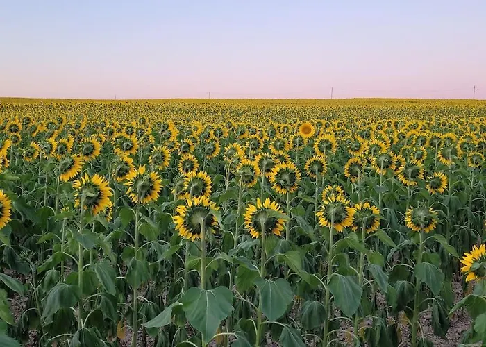 Dom wakacyjny Authentiek Met Zwembad In Dordogne.